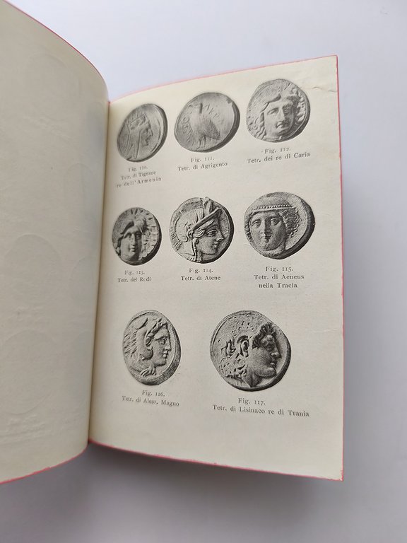 Il raccoglitore di oggetti minuti e curiosi