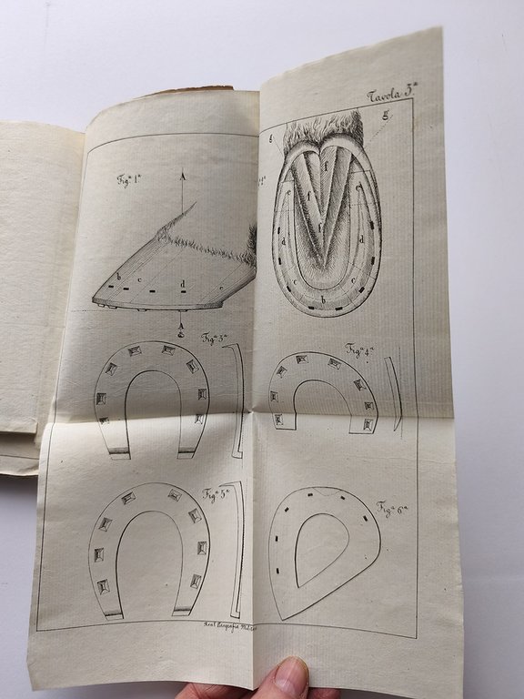 Manuale di Ippiatrica Militare ossia ristretto metodico delle condizioni veterinarie …