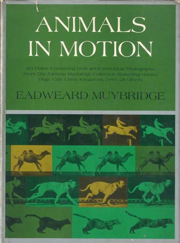 Animals in motion. | Immagine principale