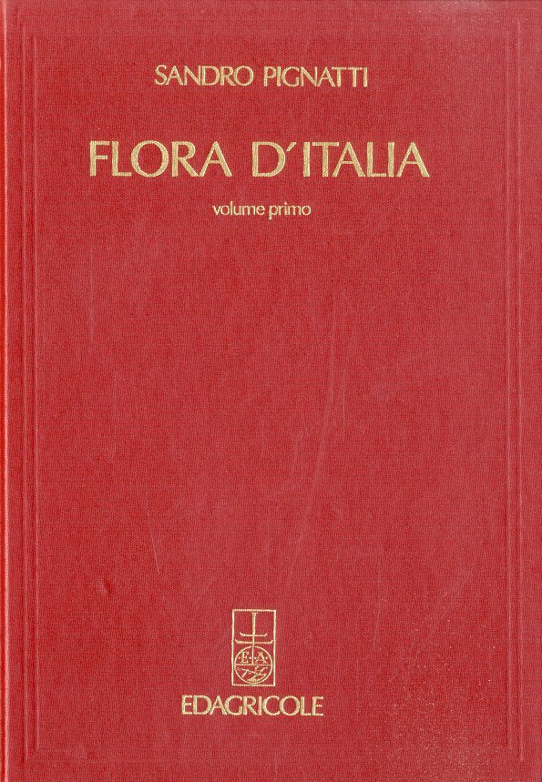 Flora d'Italia. | Immagine principale