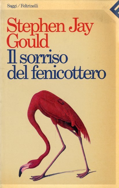 Il sorriso del fenicottero.