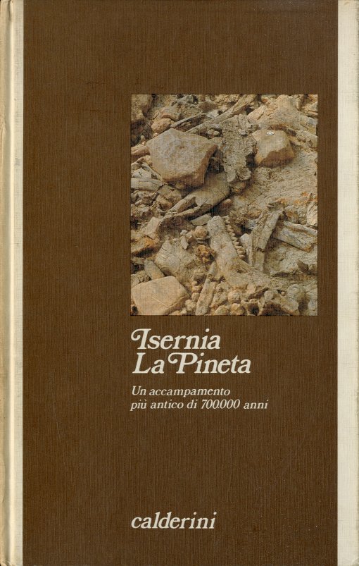 Isernia. La Pineta.