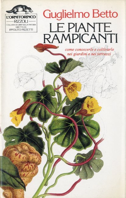 Le piante rampicanti. | Immagine principale