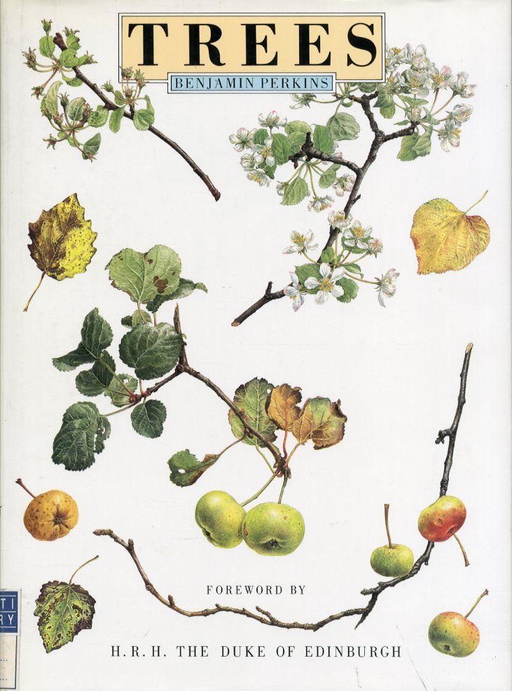 Trees. | Immagine principale