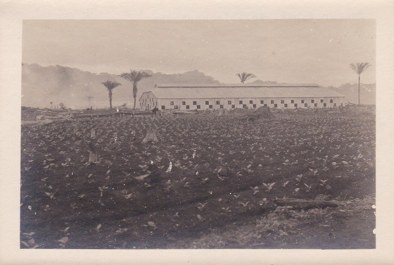 10 Original-Photographien aus der deutschen Kolonialzeit in Kamerun.