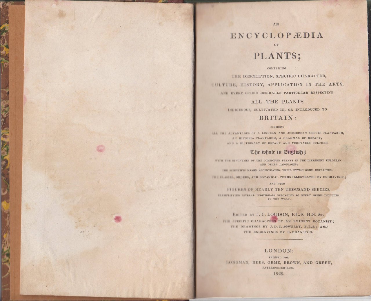An Encyclopaedia of Plants; Comprising the Description, Specific Character, Culture, …