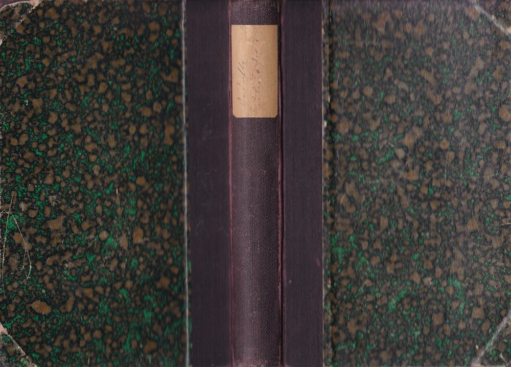 Aus bewegten Tagen. Neue Gedichte.