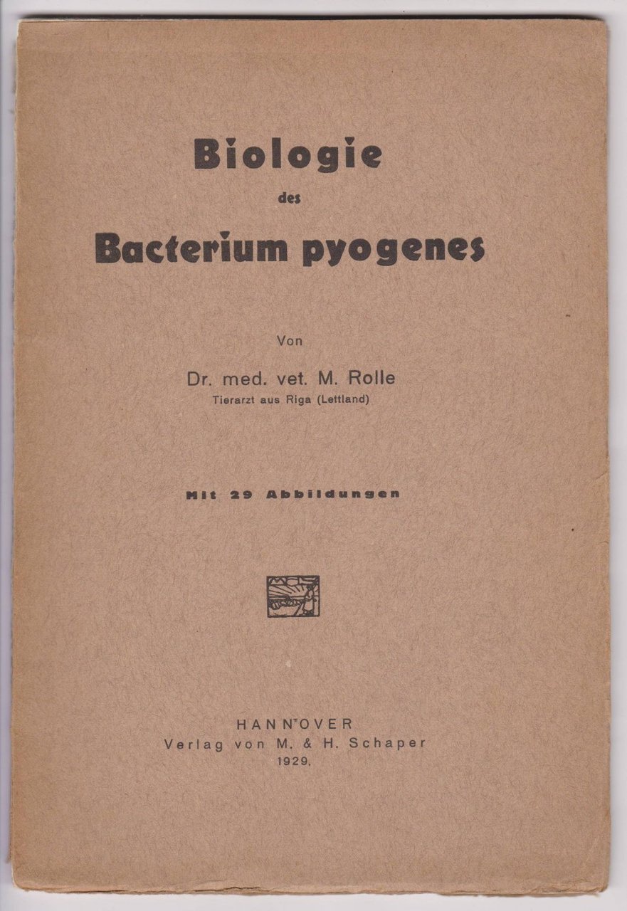 Biologie des Bacterium pyogenes.