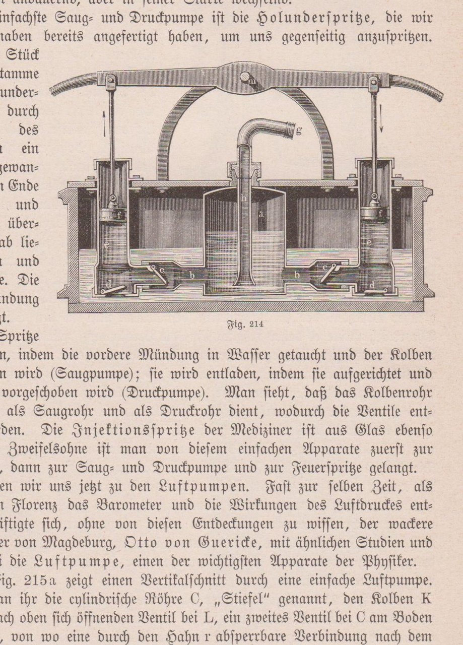 Die Physik des täglichen Lebens.