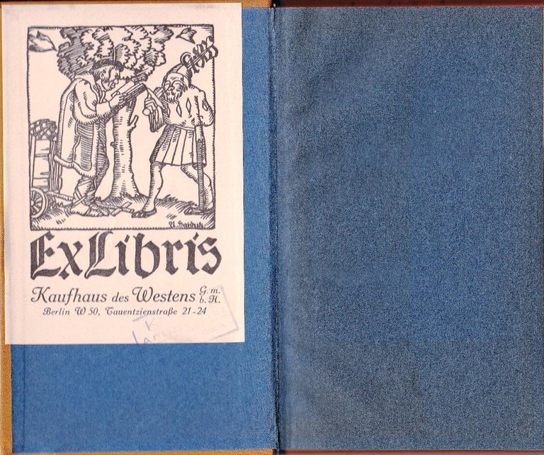 Malvina von der Bretagne. | Immagine Gallery 1