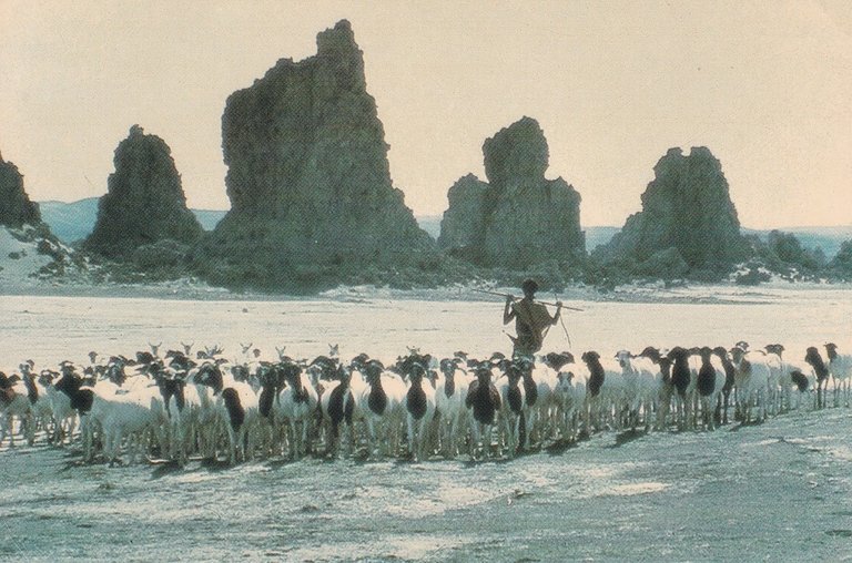 Original postcard by french actor and director Jacques Delord to german writer Ernst Jünger in January 1989.