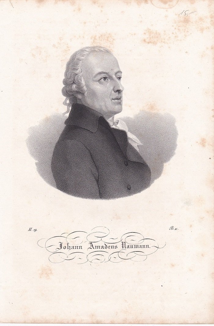Porträt / Bildnis von Johann Amadeus Naumann (1741-1801).