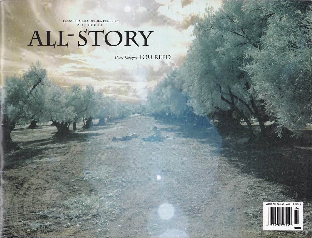 Zoetrope: All-Story. Winter 08/09, Volume 12, Number 4.