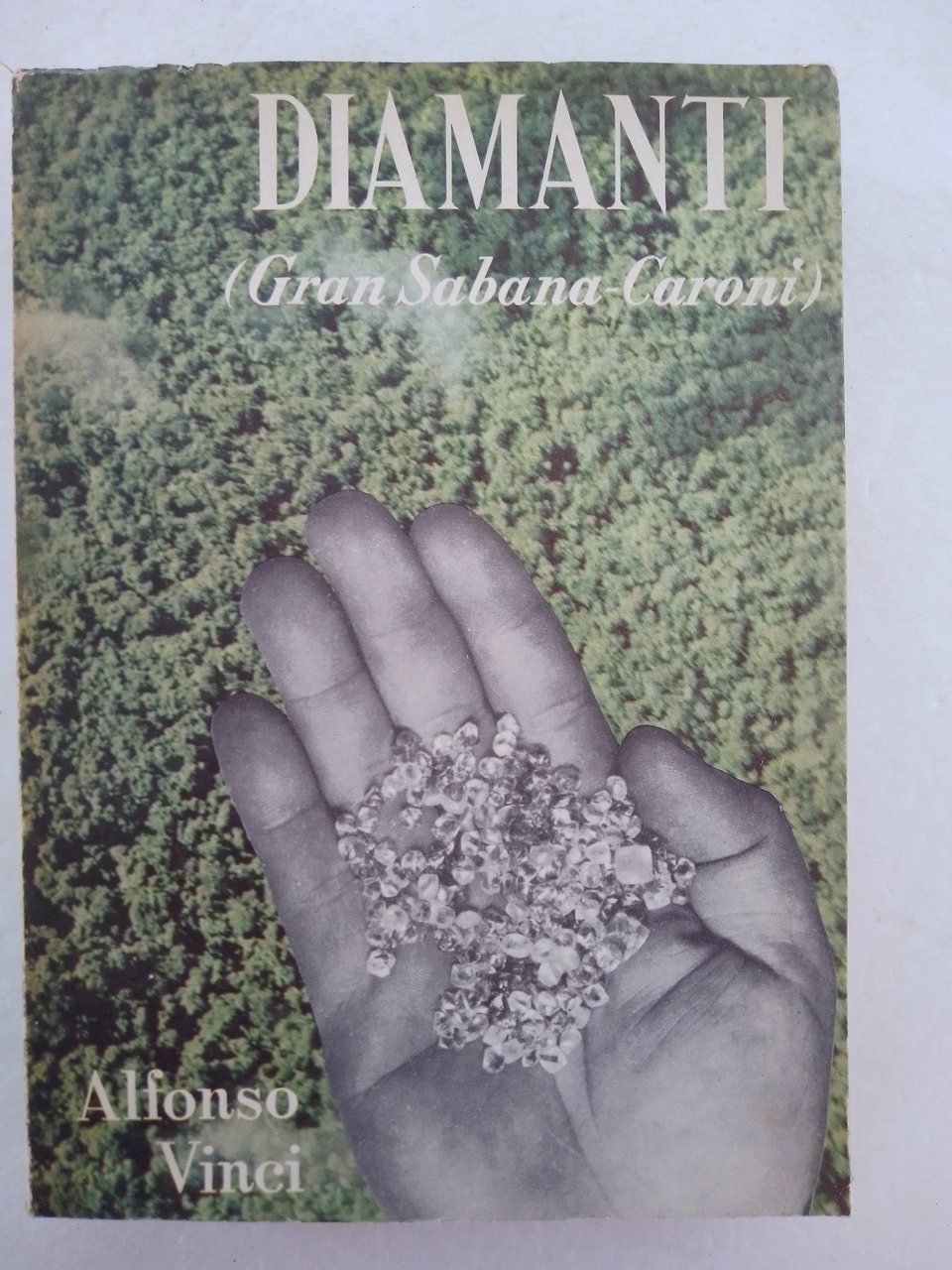 DIAMANTI (GRAN SABANA-CARONI') | Immagine principale