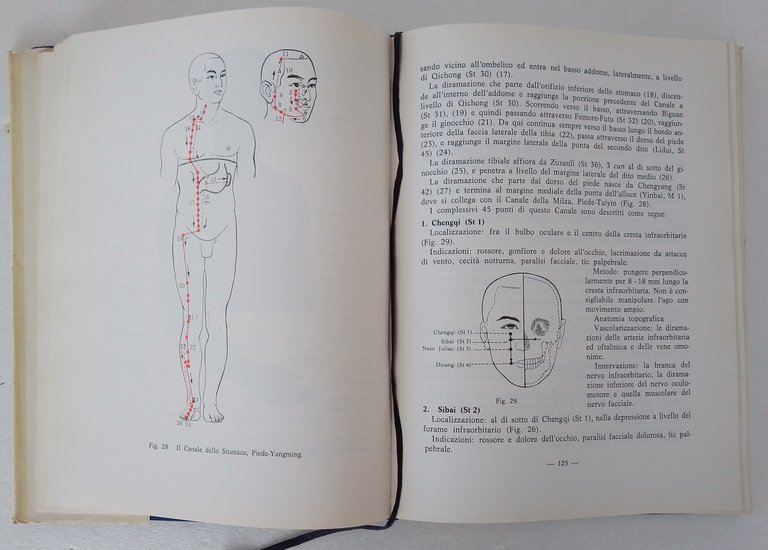 ELEMENTI ESSENZIALI DI AGOPUNTURA CINESE