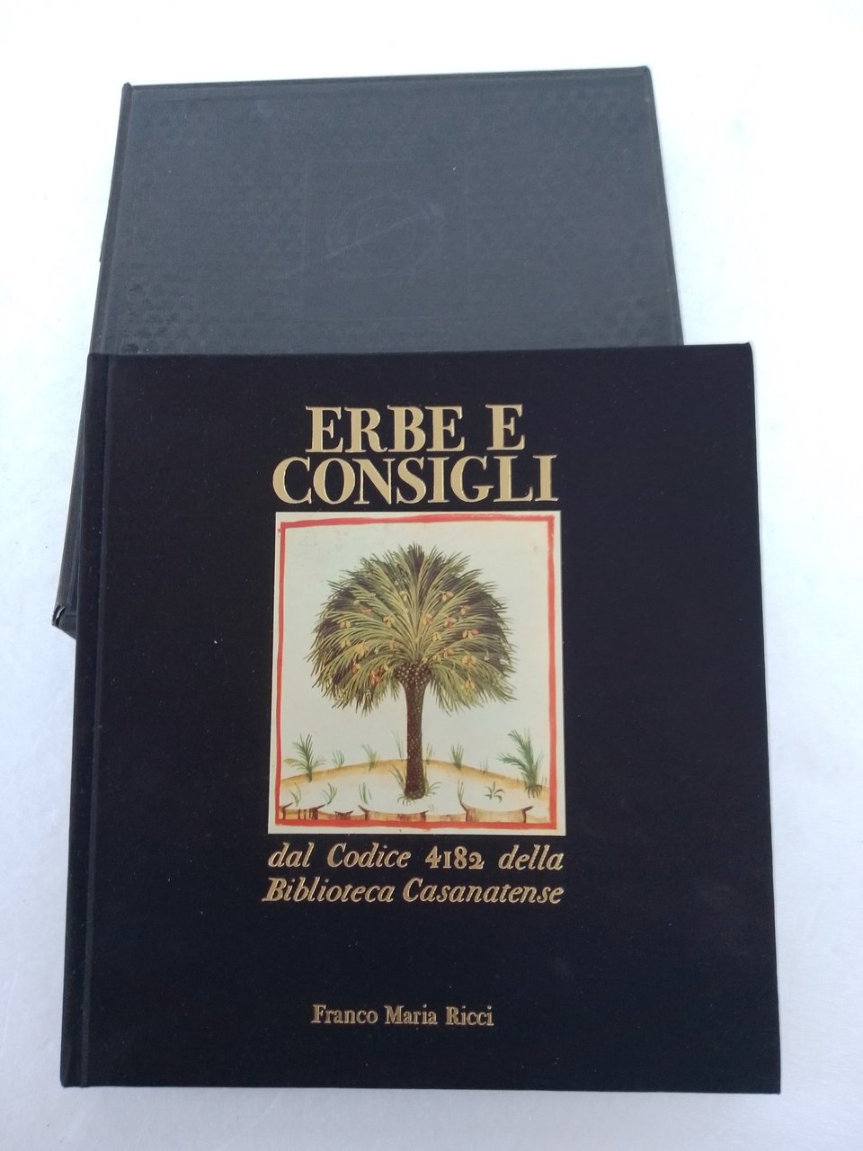 Erbe e consigli dal codice 4182 della Biblioteca Casanatense