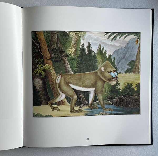 Il bestiario di Aloys Zotl