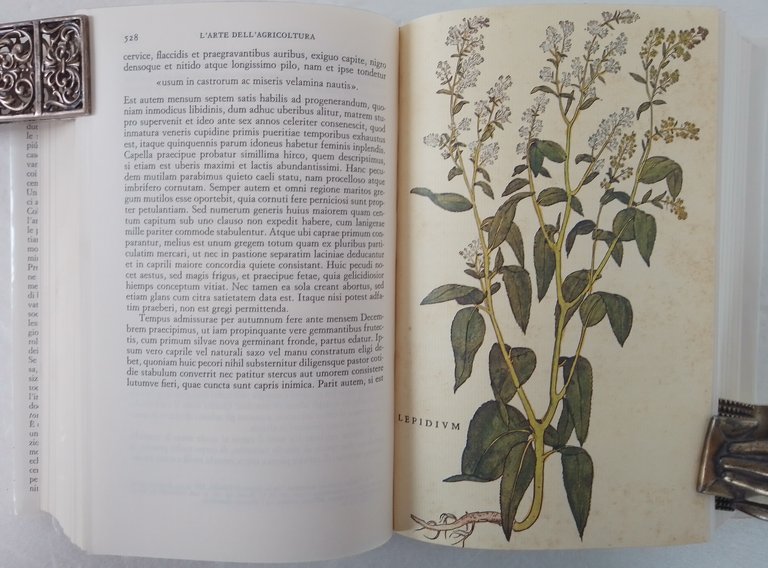 L'ARTE DELL'AGRICOLTURA | Immagine Gallery 2