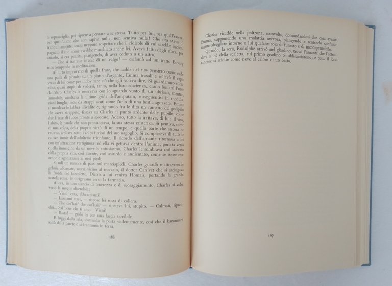 LA SIGNORA BOVARY | Immagine Gallery 2