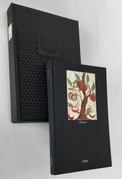 LOLOZIA OSSIA LE GRANDI MONTAGNE FREDDE DELLO SZE-CHUAN | Immagine Gallery 1