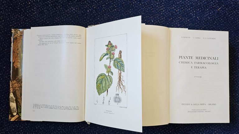 PIANTE MEDICINALI. CHIMICA, FAMACOLOGIA E TERAPIA