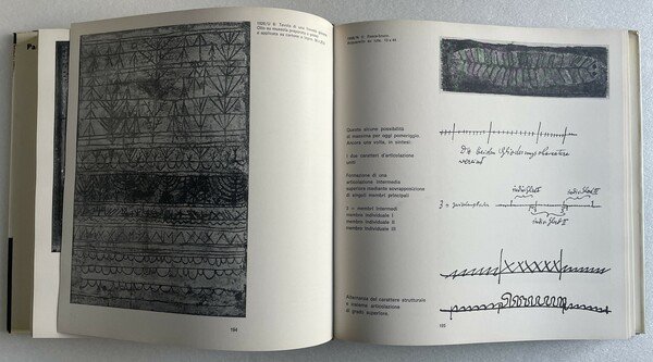 Teoria della forma e della figurazione. Volume II. Storia naturale …