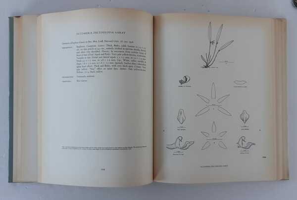 VENEZUELAN ORCHIDS ILLUSTRATED. Volume I.