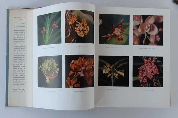 VENEZUELAN ORCHIDS ILLUSTRATED. Volume I.