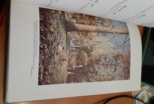 Il tormento dell'India. Unica traduzione italiana. Prefazione di N. Send