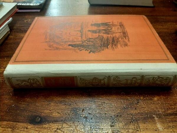 I PROPILEI. Grande storia universale volume IX: Il secolo XX