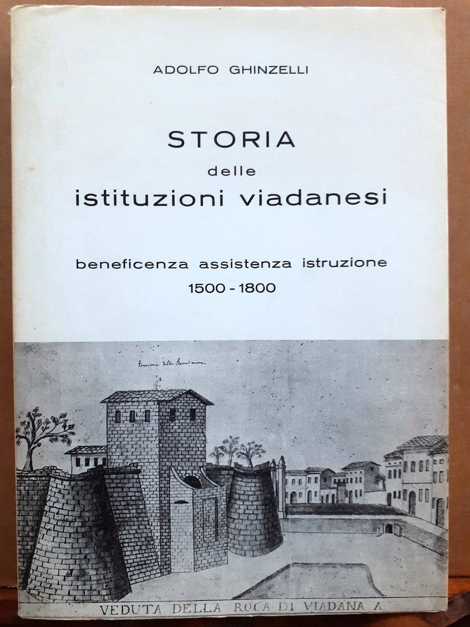 STORIA DELLE ISTITUZIONI VIADANESI: BENEFICENZA, ASSISTENZA, ISTRUZIONE 1500-1800.,