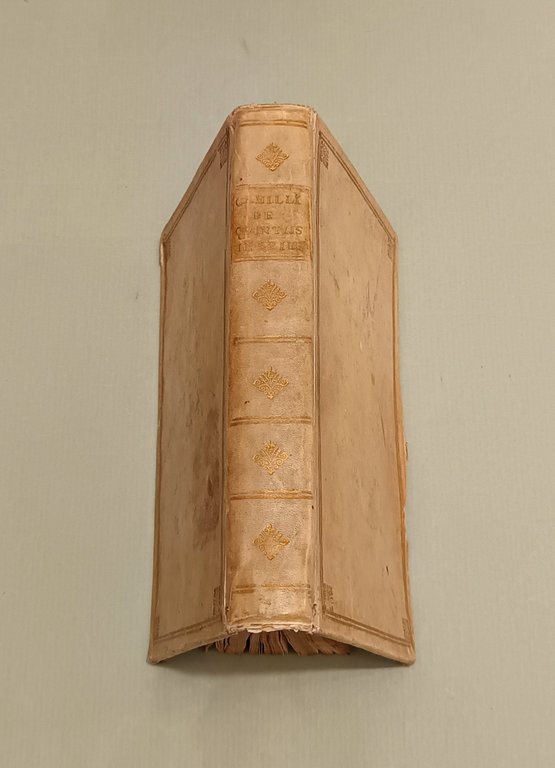 Inarime seu de Balneis Pithecusarum. Libri VI. | Immagine Gallery 12