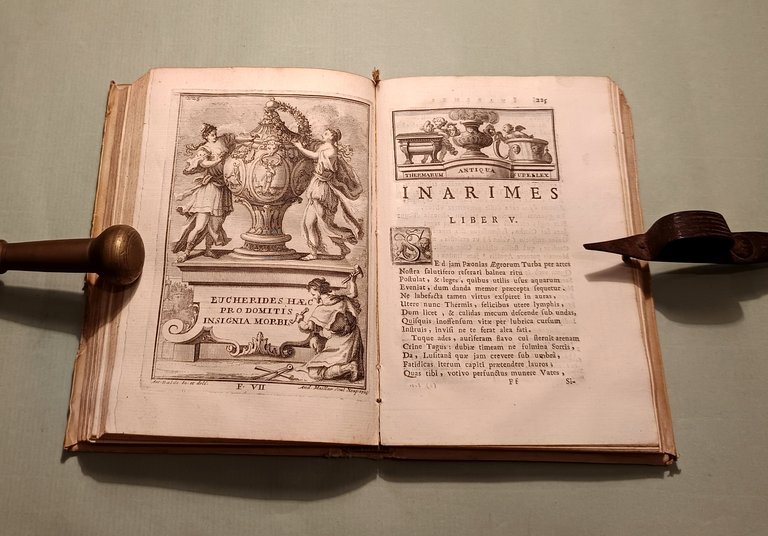 Inarime seu de Balneis Pithecusarum. Libri VI. | Immagine Gallery 9