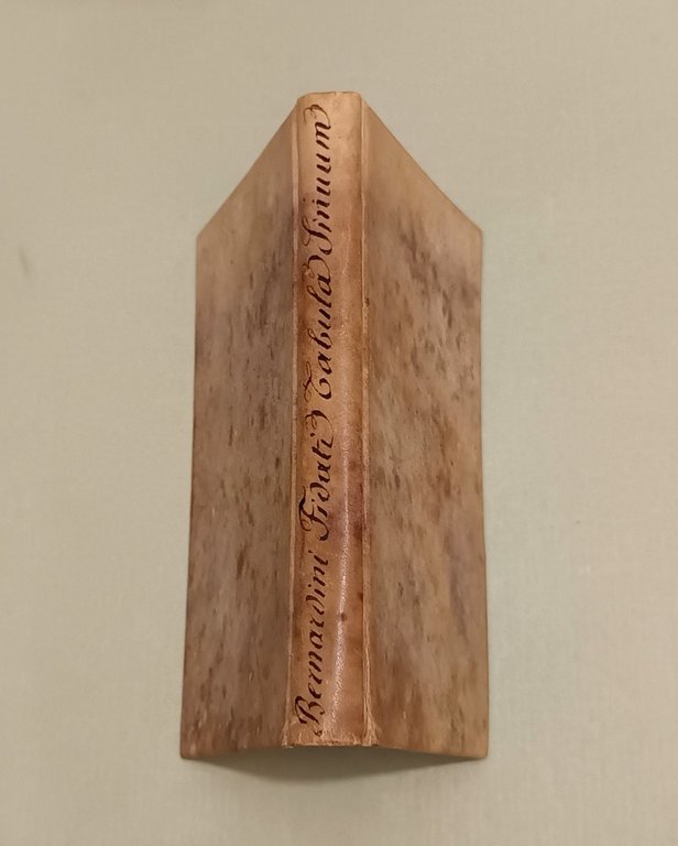 Io.Bernardini Fidati e Societate Iesu Tabula sinuum rectorum & versorum …