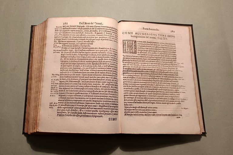 L'arte de' cenni | Immagine Gallery 10