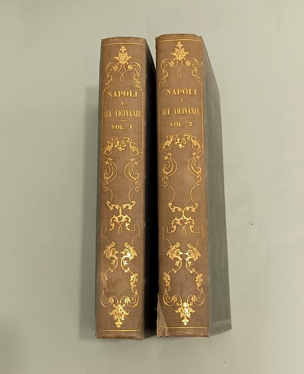 Napoli e i luoghi celebri delle sue vicinanze. | Immagine Gallery 12