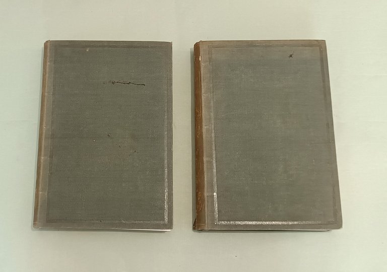 Napoli e i luoghi celebri delle sue vicinanze. | Immagine Gallery 13