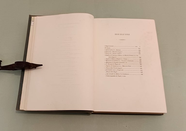 Napoli e i luoghi celebri delle sue vicinanze. | Immagine Gallery 2