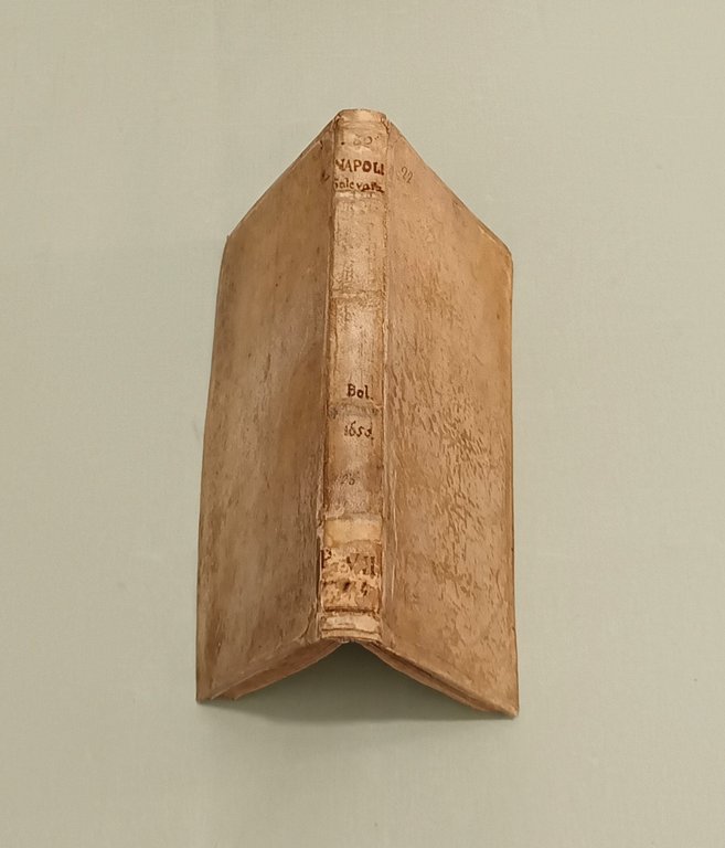 Napoli Sollevata. | Immagine Gallery 9