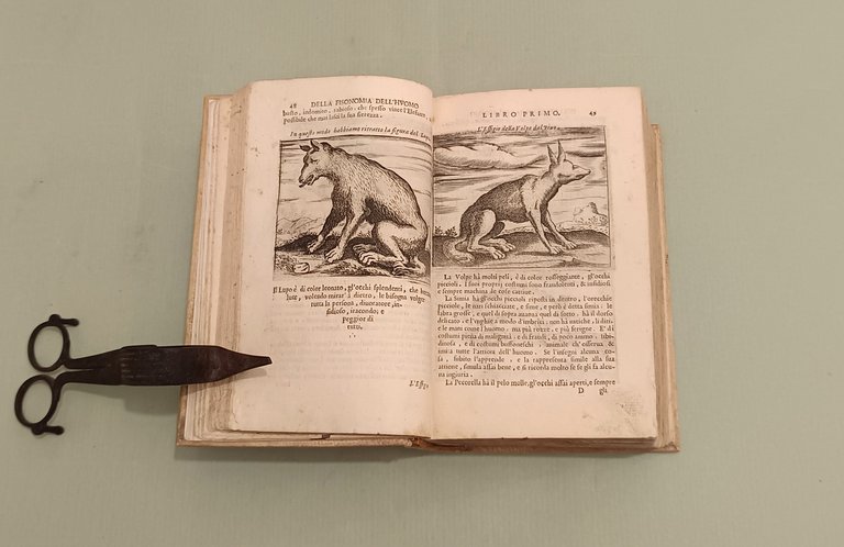 La Fisonomia dell'Huomo et la Celeste. Libri Sei. | Immagine Gallery 4