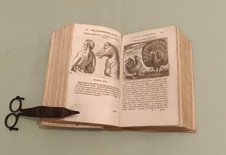 La Fisonomia dell'Huomo et la Celeste. Libri Sei. | Immagine Gallery 7