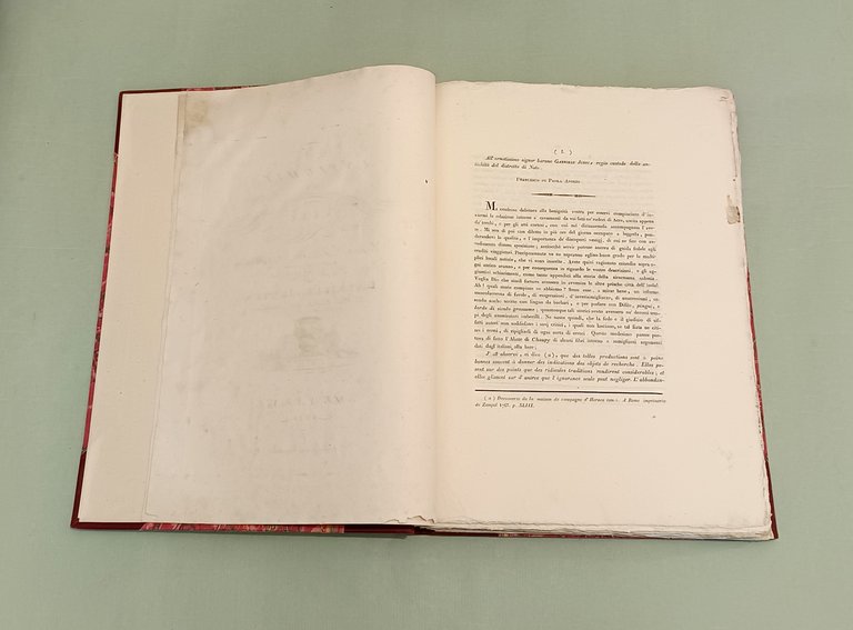 Le Antichità di Acre scoperte, descritte ed illustrate. | Immagine Gallery 3