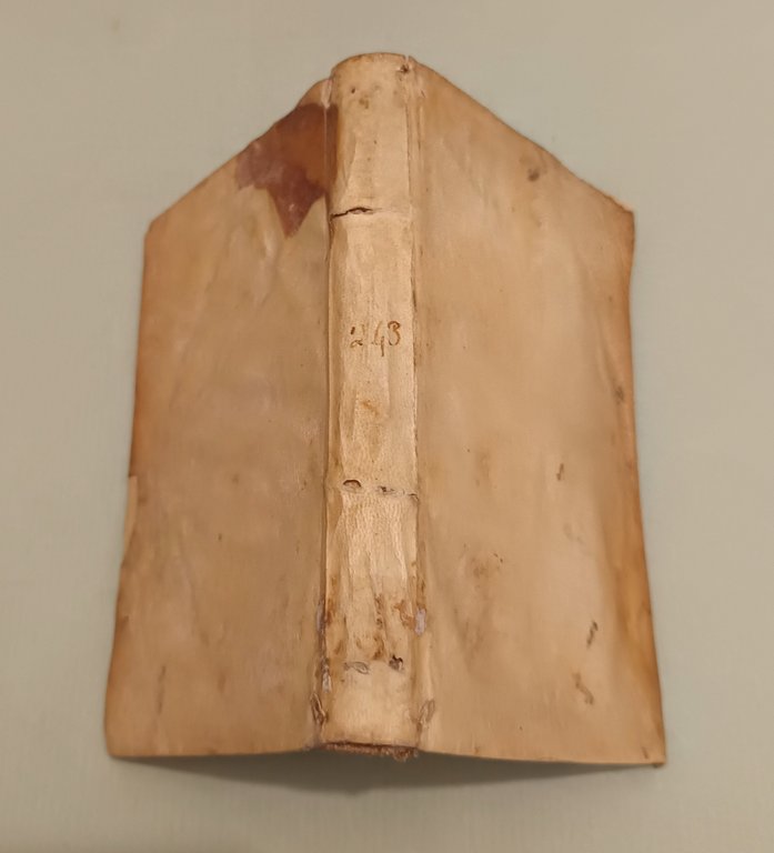 Sito, et antichità della città di Pozzuolo, e del suo … | Immagine Gallery 14