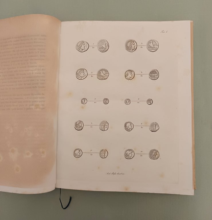 Cenno storico sull'antichissima Città di Ruvo nella Peucezia. | Immagine Gallery 3