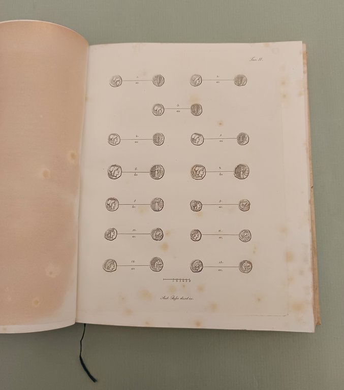 Cenno storico sull'antichissima Città di Ruvo nella Peucezia. | Immagine Gallery 4