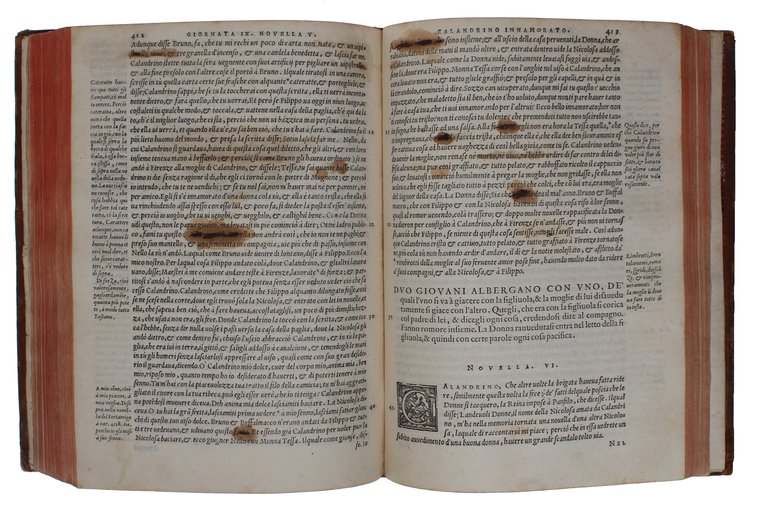 Il Decamerone. alla sua intera perfettione ridotto, et con dichiarationi …