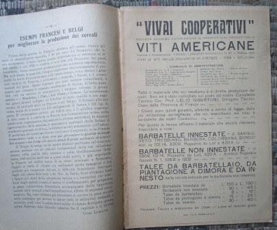 L'AGRICOLTURA TOSCANA - GIORNALE DI AGRICOLTURA E COMMERCIO E L'AMICO …