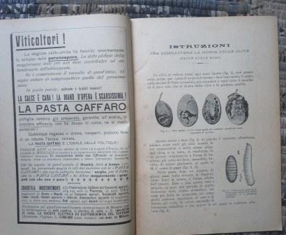 L'AGRICOLTURA TOSCANA - GIORNALE DI AGRICOLTURA E COMMERCIO E L'AMICO …