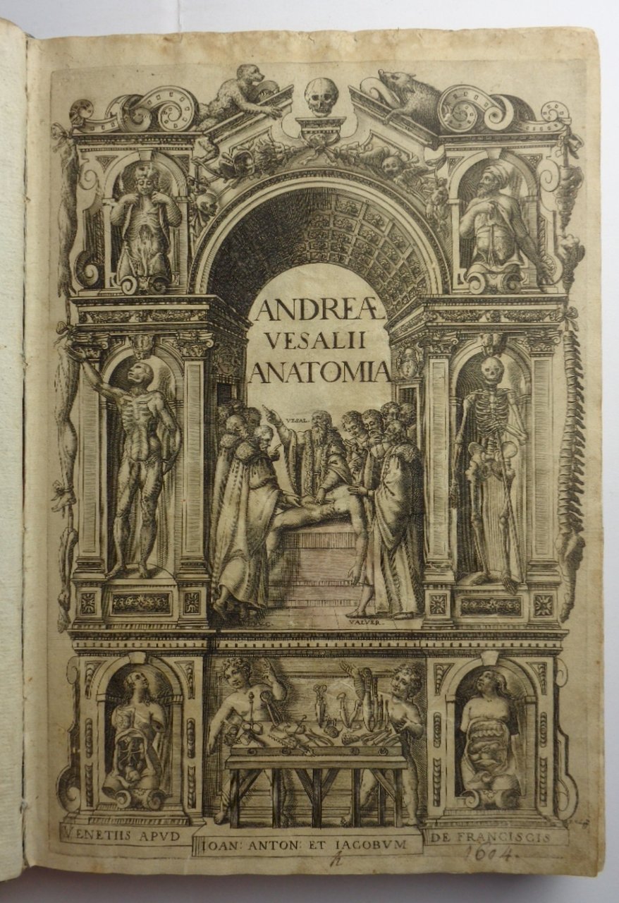 ANDREAE VESALII ANATOMIA. Addita nunc postremo etiam Antiquorum anatome.