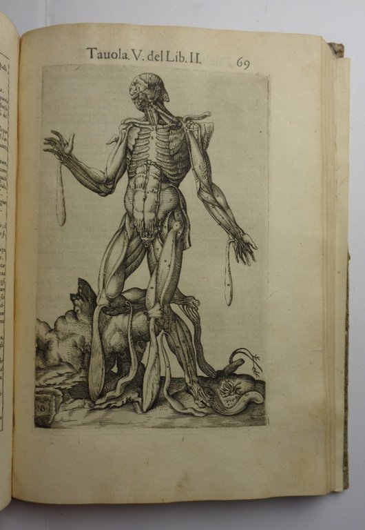 ANATOMIA DEL CORPO HUMANO. con molte figure di rame, et …